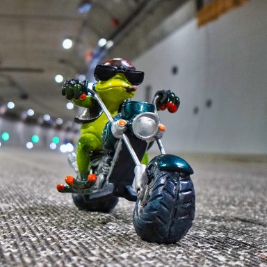 Robert auf dem Chopper