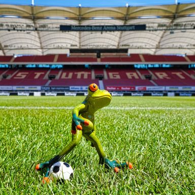 Robert im Neckarstadion