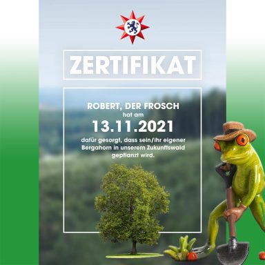 Robert und das Baum-Zertifikat