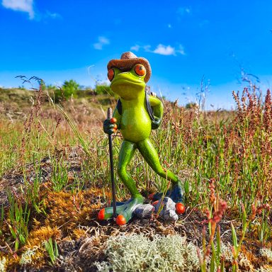 Robert beim Wandern in der Heide