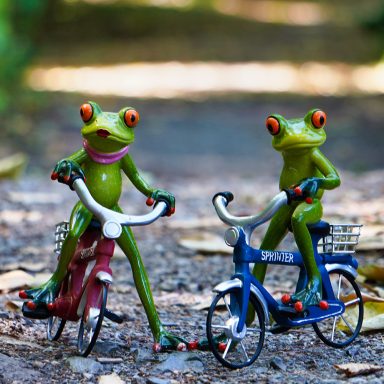 Robert und Claudia auf dem Fahrrad